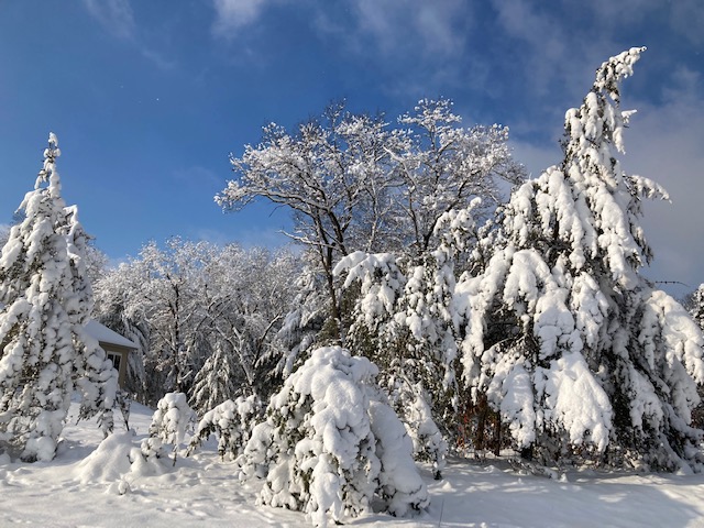 Winter Snow 